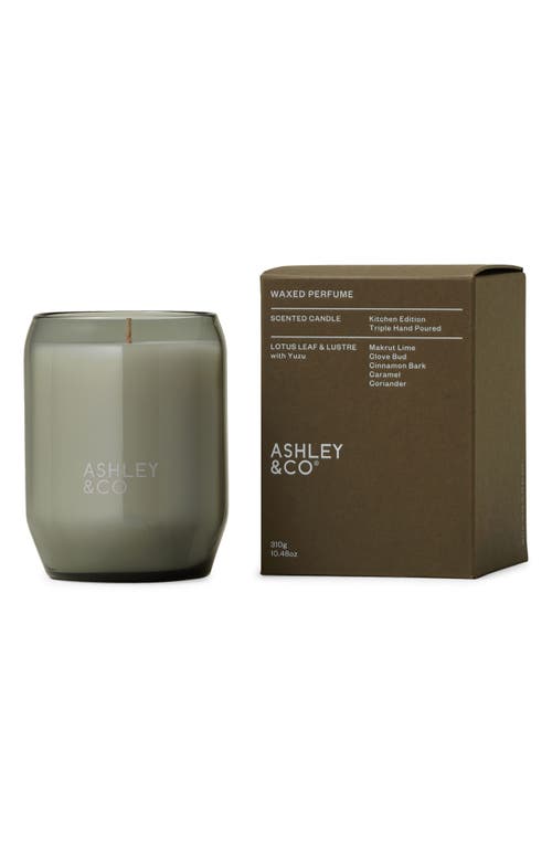 Ashley & Co Waxed Perfume Scented Kitchen Candle: Lotus Leaf & Lustre With Yuzu In Gray