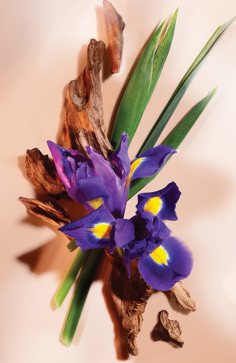 Proenza Schouler Arizona Body Oil, Alternate, color,