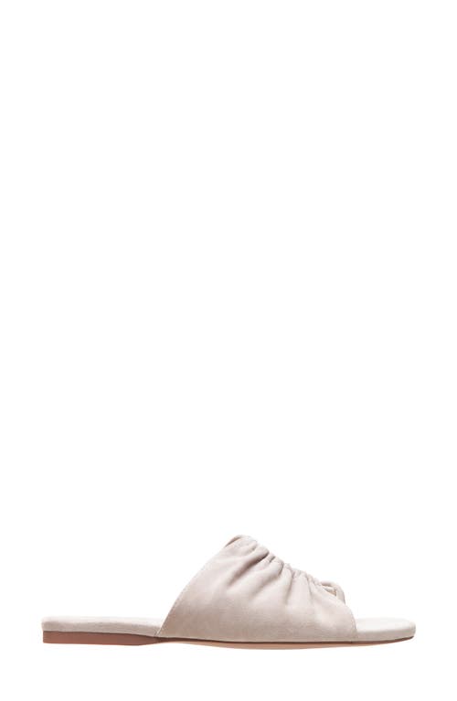 Linea Paolo Lane Toe Loop Sandal In Stone