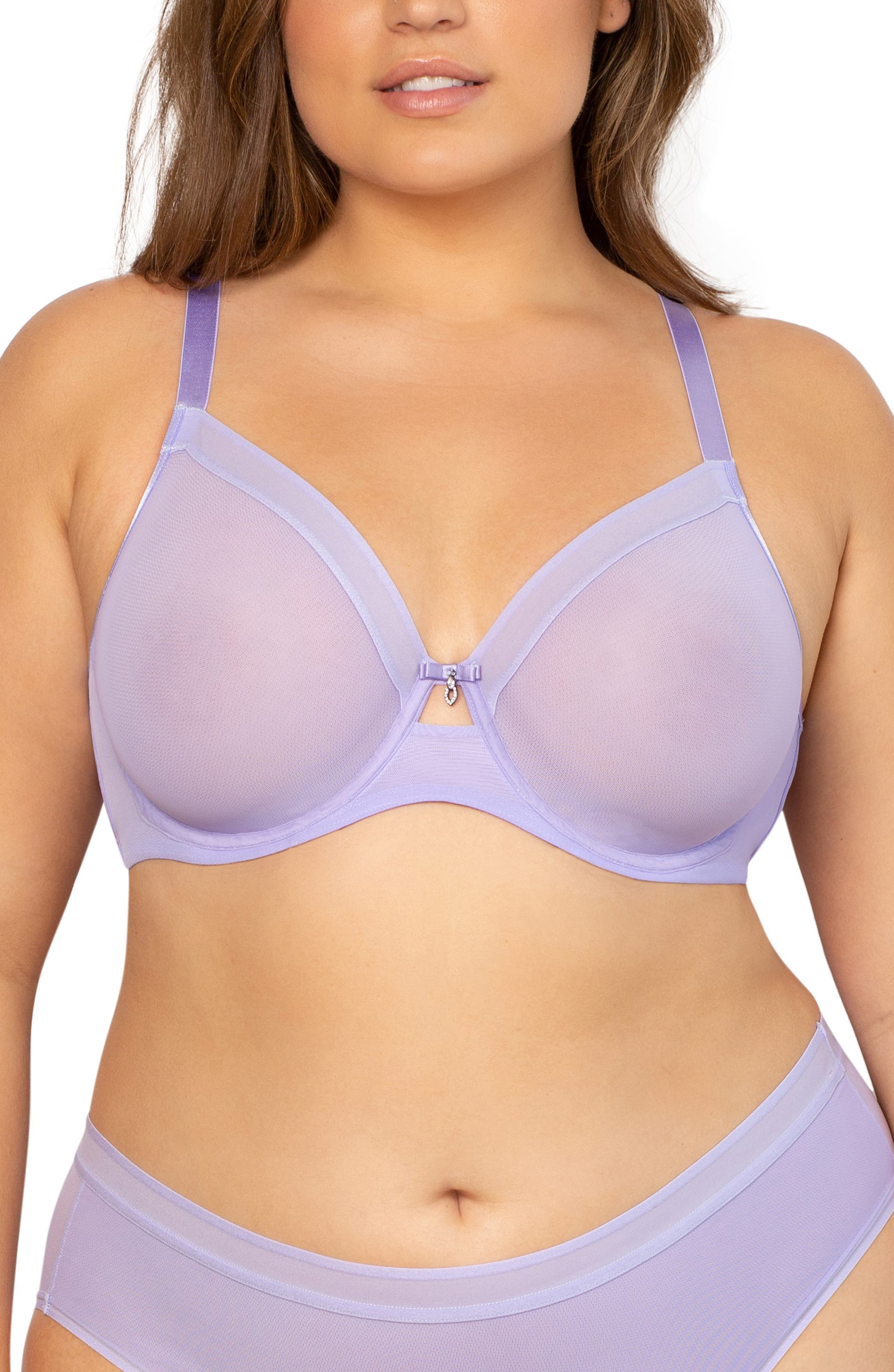 Sheer Mesh Underwire Unlined Bra