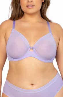 Sheer Mesh Underwire Unlined Bra