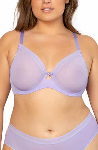 Sheer Mesh Underwire Unlined Bra