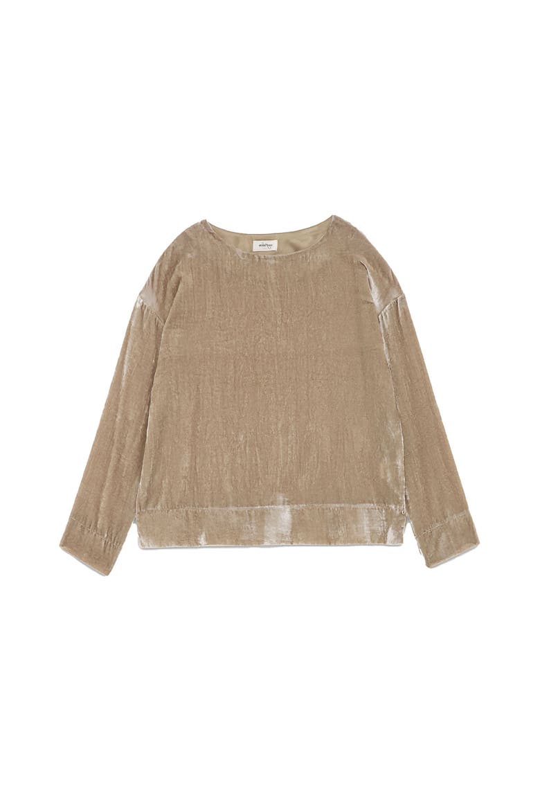Soft Velvet Blouse, Alternate, color, Stone