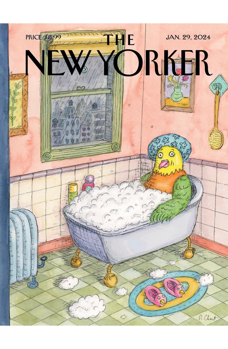 NEW YORK PUZZLE COMPANY Bird Bath 500 Piece Puzzle, Alternate, color, 