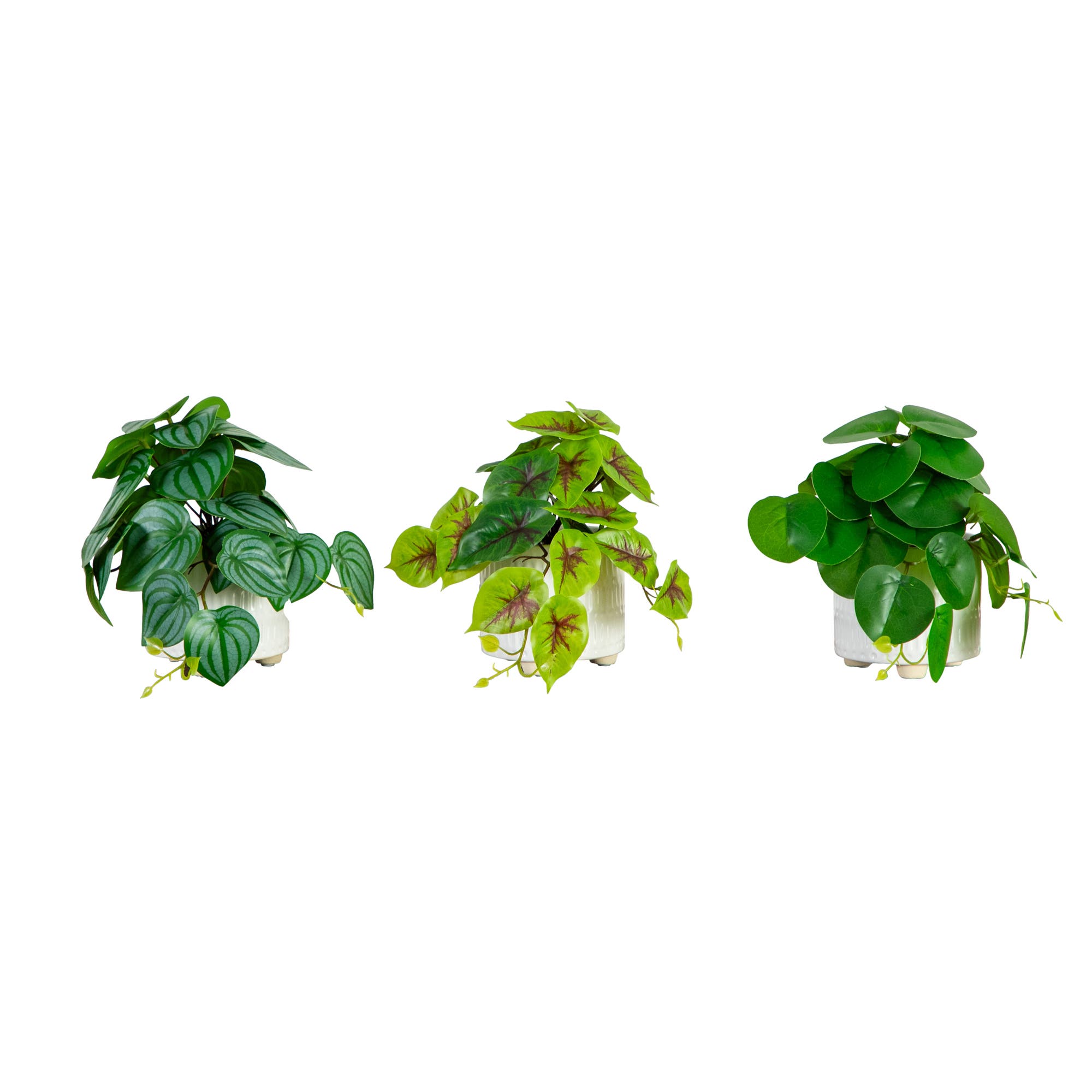 selected Green