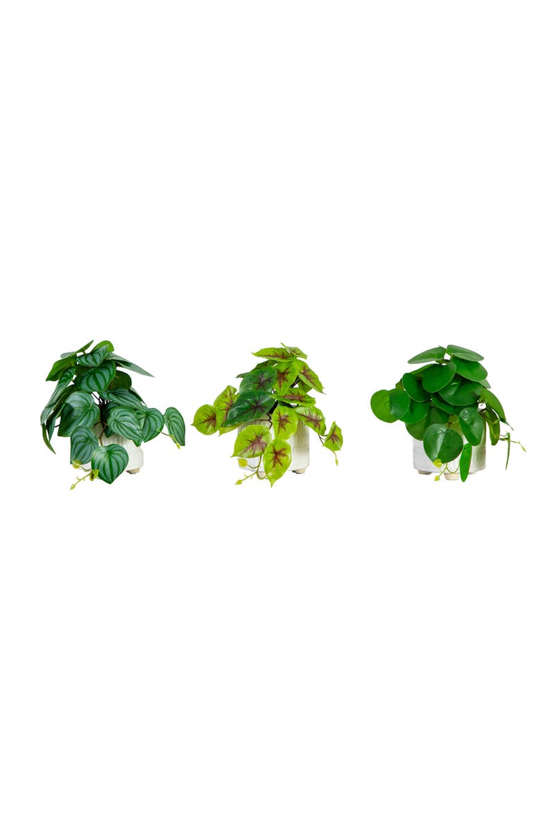 NEARLY NATURAL 8-in Artificial Mixed Greens in Ceramic Planter- Set of 3, Main, color, Green