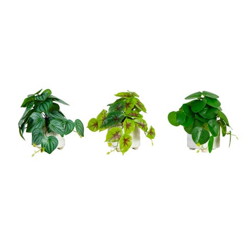 8-in Artificial Mixed Greens in Ceramic Planter- Set of 3