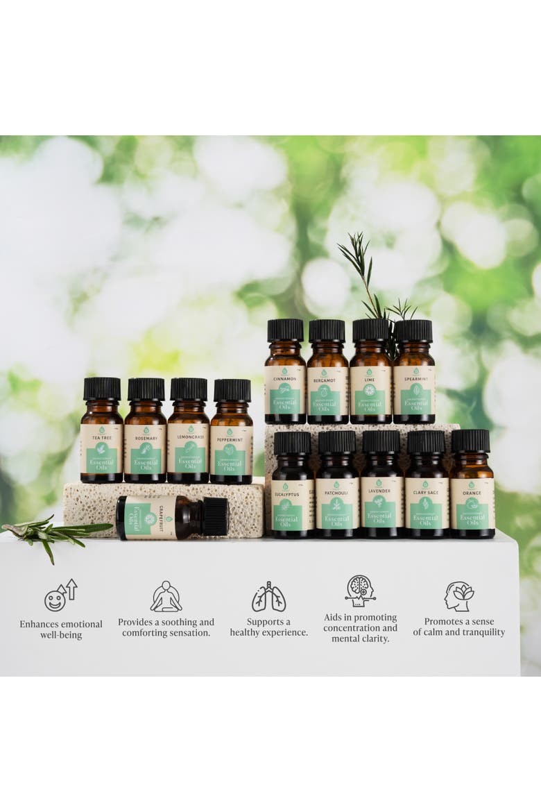 Seasonal Scents Christmas Essential Oils Collection, Alternate, color, Green