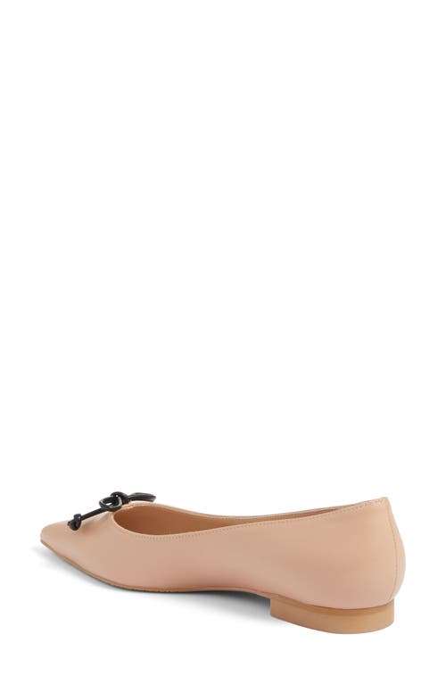 Stuart Weitzman Landon Pointed Toe Ballet Flat In Adobe/black