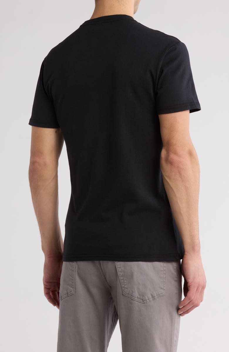 American Needle Cali Bear Cotton Graphic T-Shirt, Alternate, color, Black Cream Bear