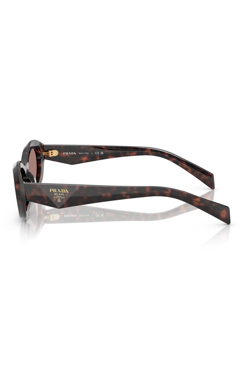 56mm Oval Sunglasses, Alternate, color, BROWN TORTOISE