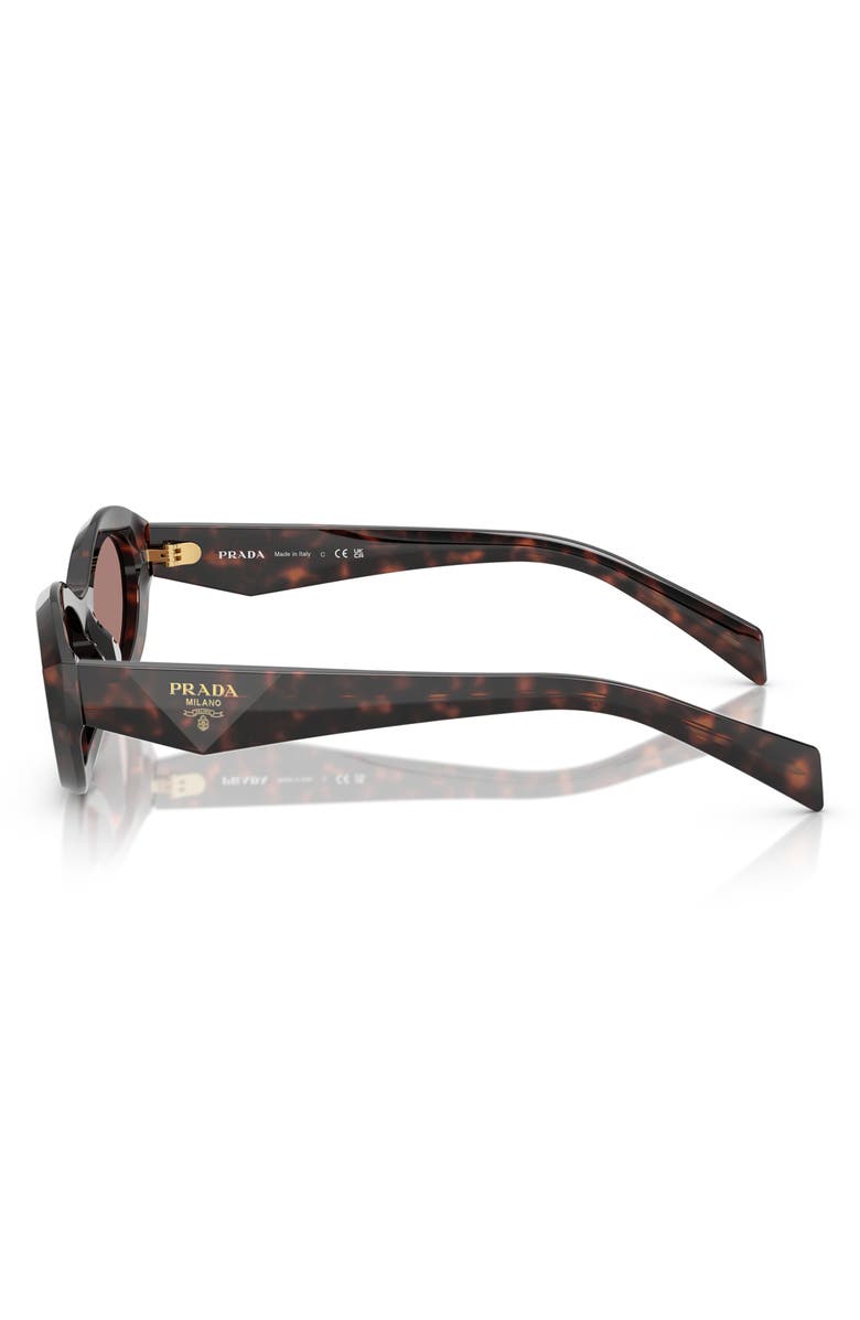Prada 56mm Oval Sunglasses, Alternate, color, Brown Tortoise