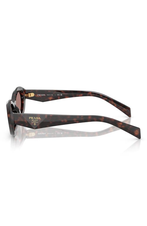 Prada 56mm Oval Sunglasses In Brown Tortoise