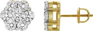 LuvMyJewelry Lab Grown Diamond Floral Cluster Stud Earrings