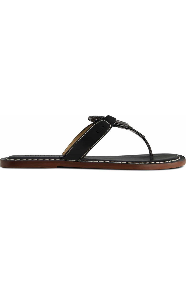 Bernardo Footwear Matrix 2 Thong Sandal, Main, color, Black Patent