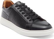 Steve Madden Strouz Low Top Sneaker