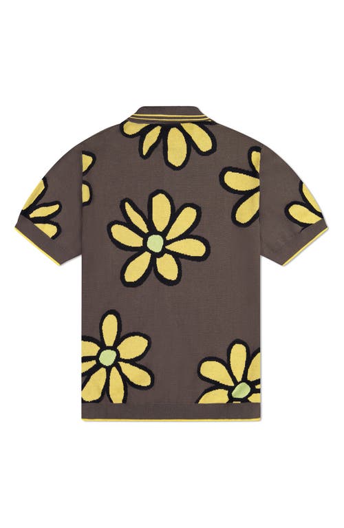 Wesc Daisy Intarsia Cotton Short Sleeve Shirt In Brown