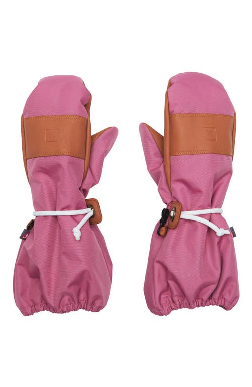 Northern Classics Waterproof Ski Mitten In Pink