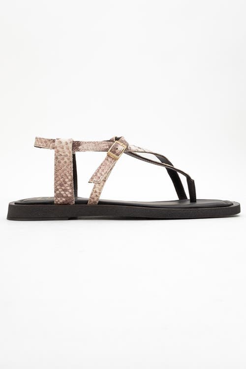 Forever & Always Shoes Morgana Leather Thong Sandal In Brown