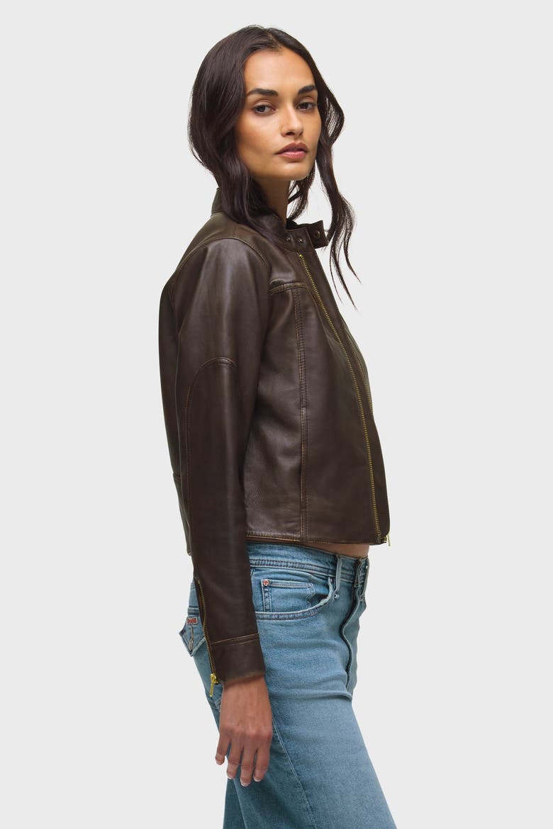 Moto Jacket, Alternate, color, Umber