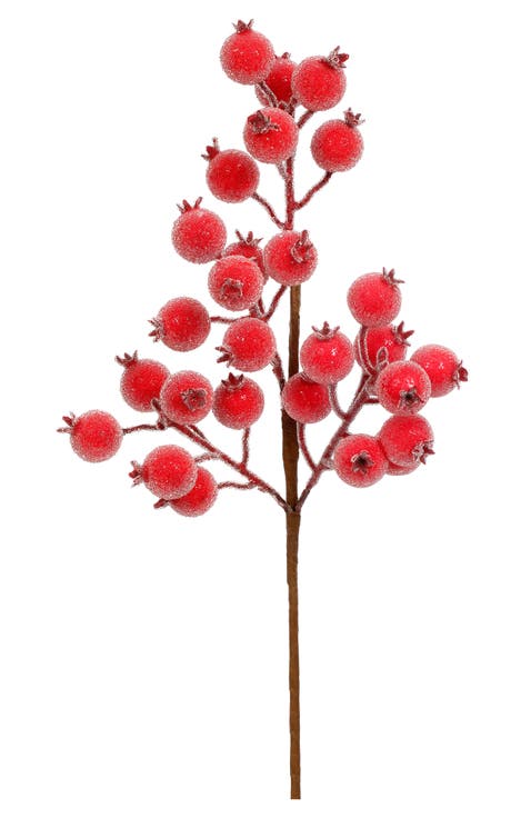 Red Berries Pick, Set of 12