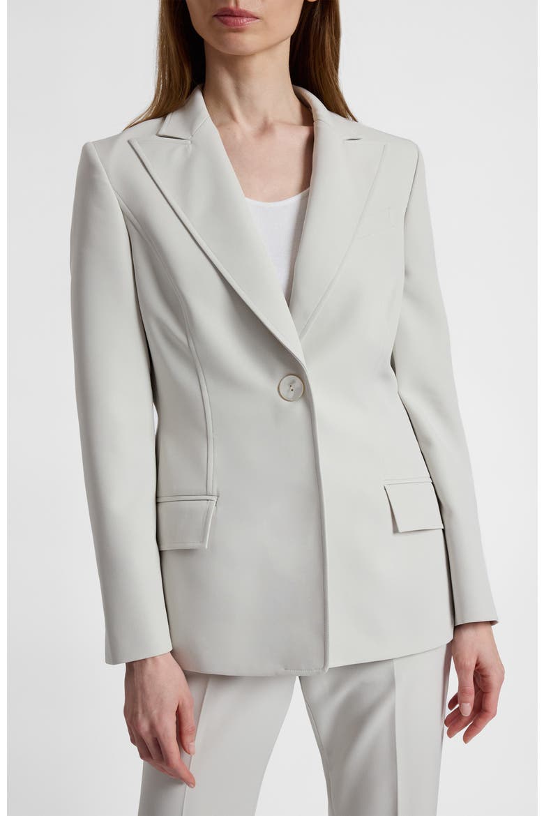 Jess Crepe Single Button Jacket, Main, color, ASH
