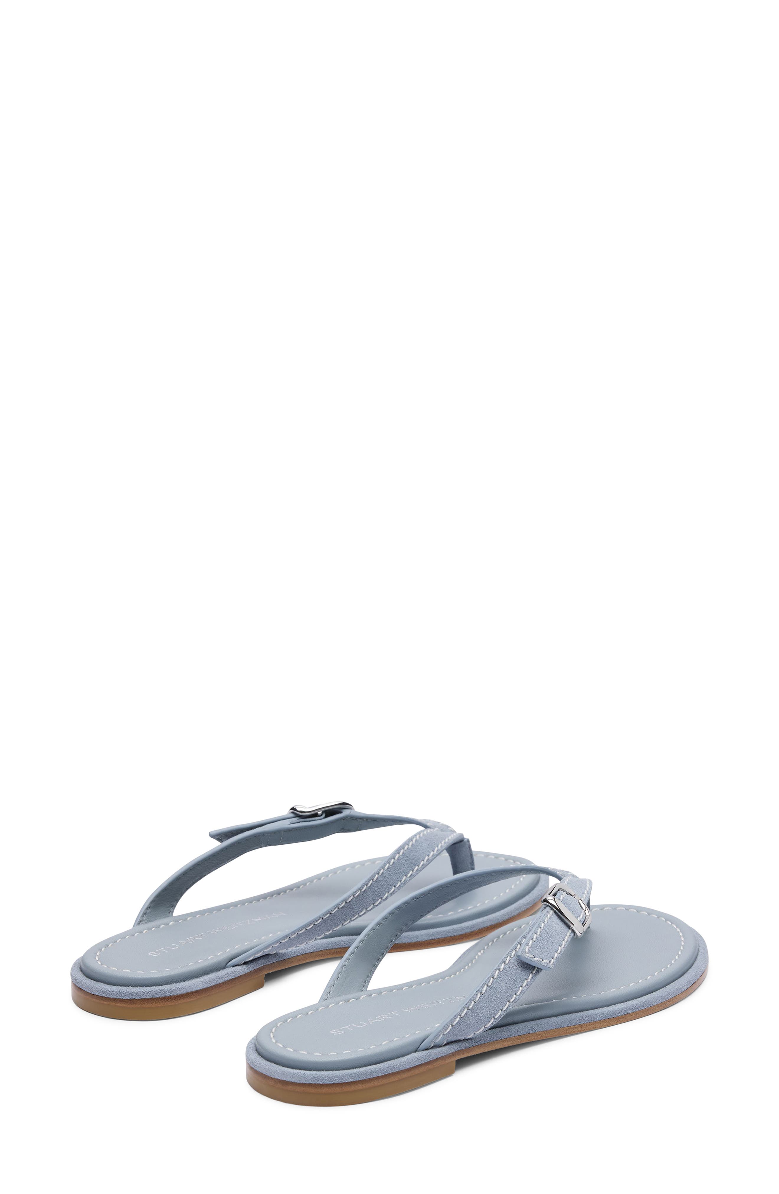 Park Thong Sandal, Alternate, color, BREEZY BLUE