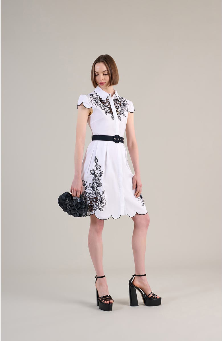 Anne Fontaine Adelina Dress, Alternate, color, Black/White