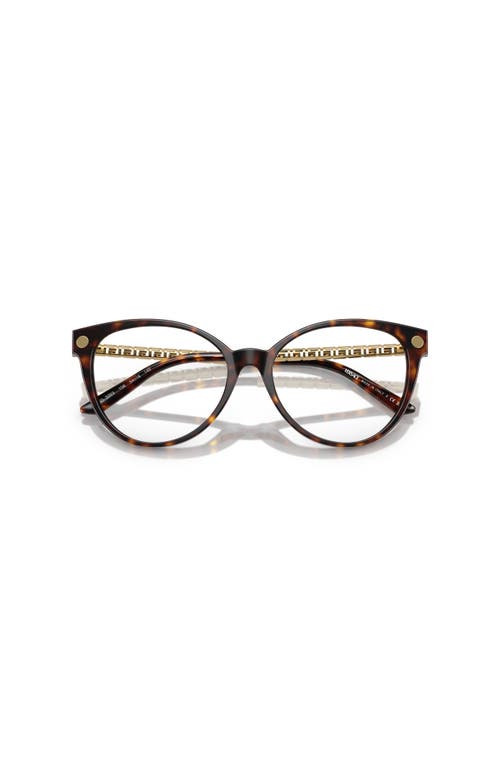 Versace 52mm Cat Eye Optical Glasses In Brown