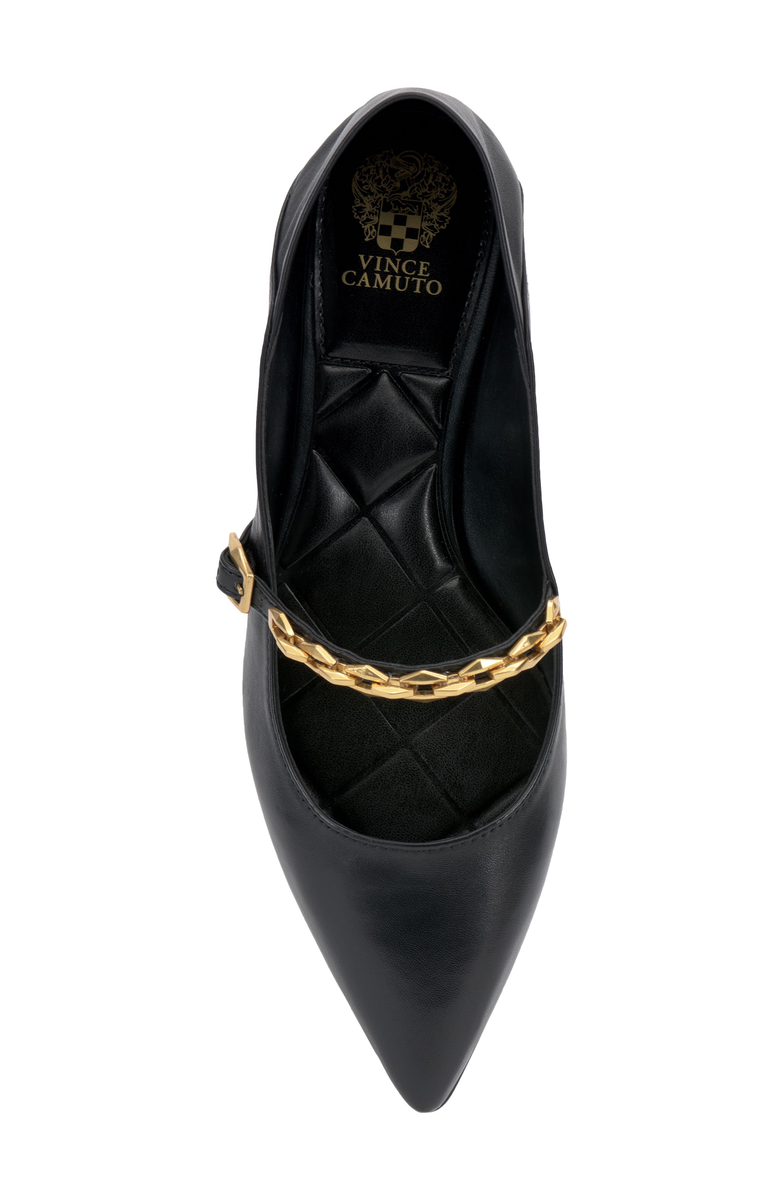 Vince Camuto Aylin Mary Jane Pointed Toe Flat, Alternate, color, 