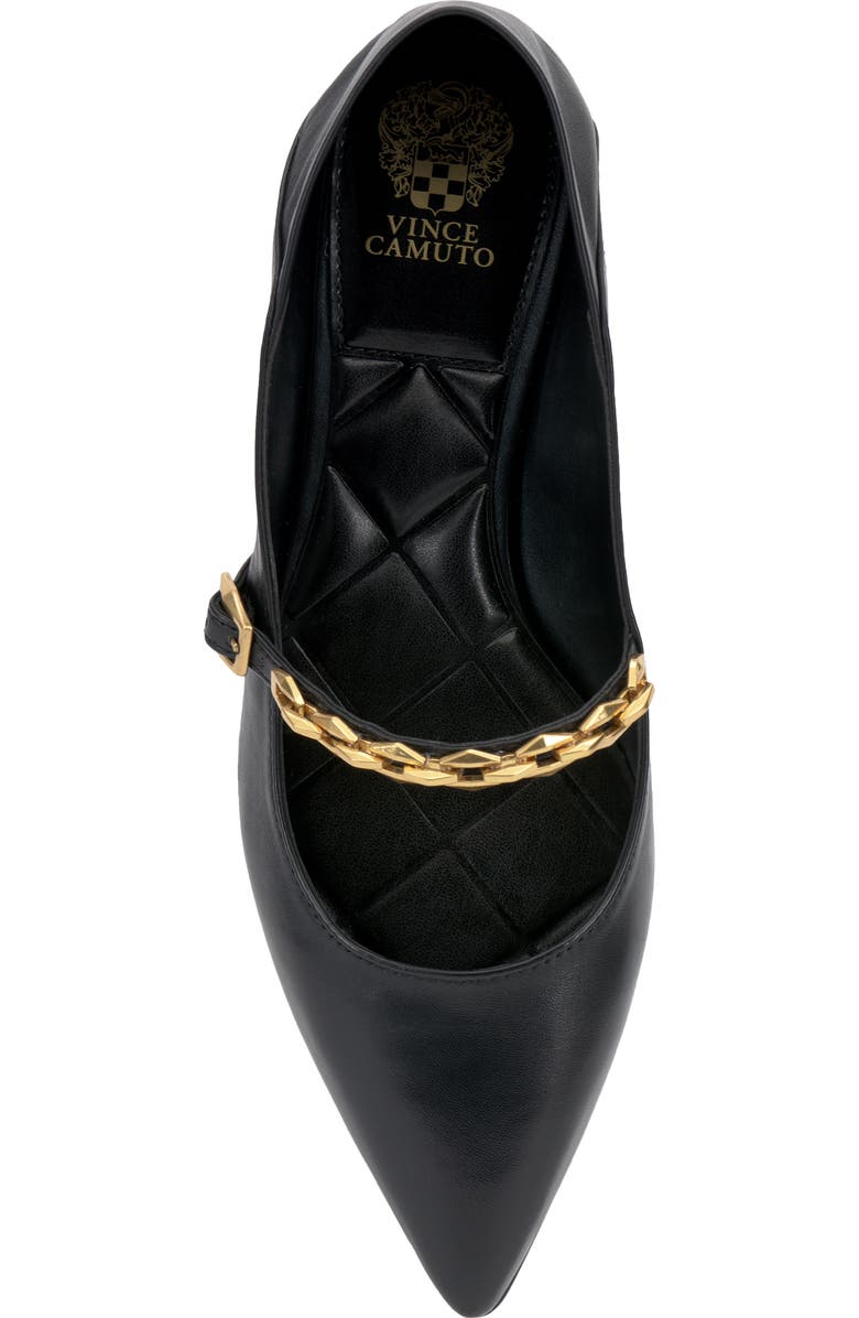 Vince Camuto Aylin Mary Jane Pointed Toe Flat, Alternate, color,