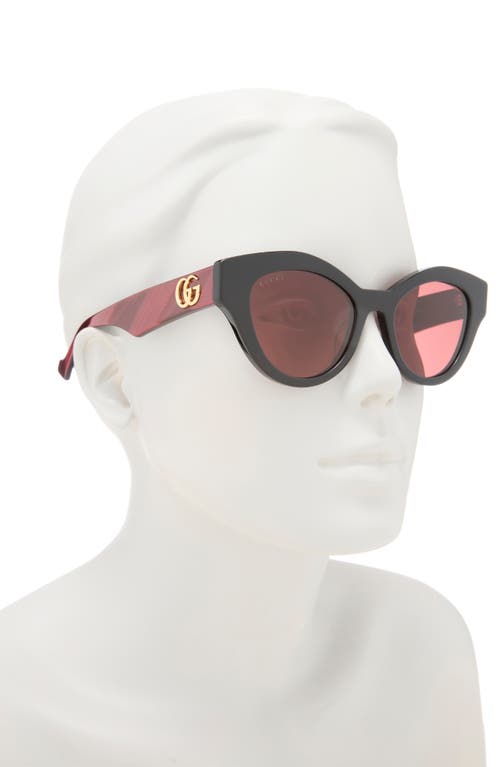 Gucci Core 51mm Cat Eye Sunglasses In Brown
