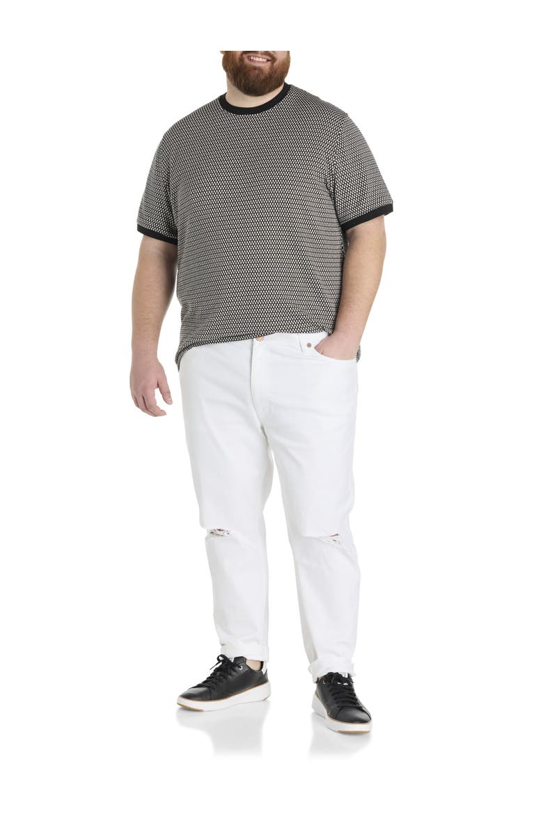 Big & Tall Textured T-Shirt, Alternate, color, TAUPE