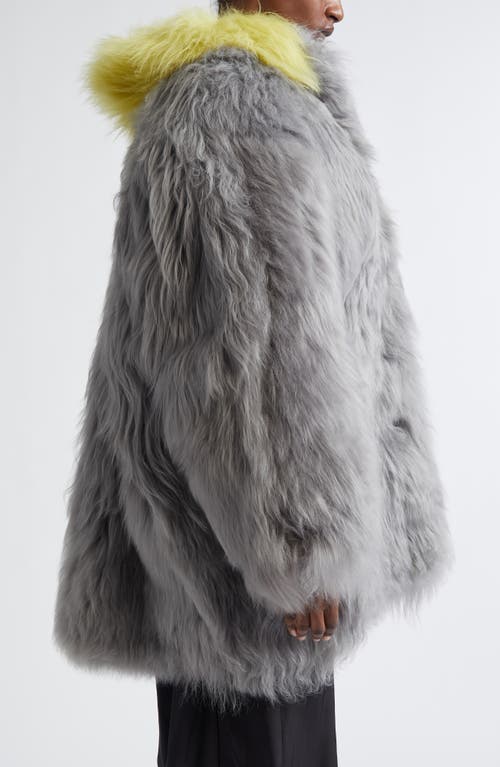 Marni Shearling Coat In Gray