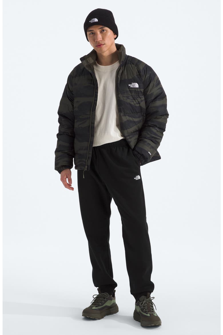 Evolution Joggers, Alternate, color, TNF BLACK