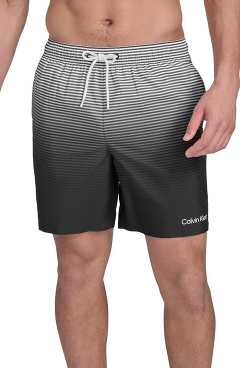 Graphite Stripe Core Volley Swim Trunks