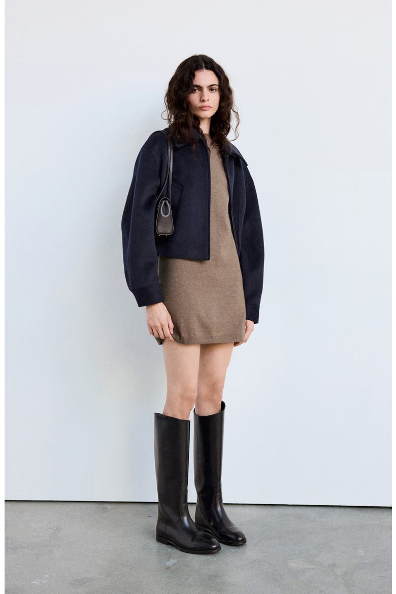 Nekanu Crewneck Fine Knit Minidress, Alternate, color, MEDIUM BROWN