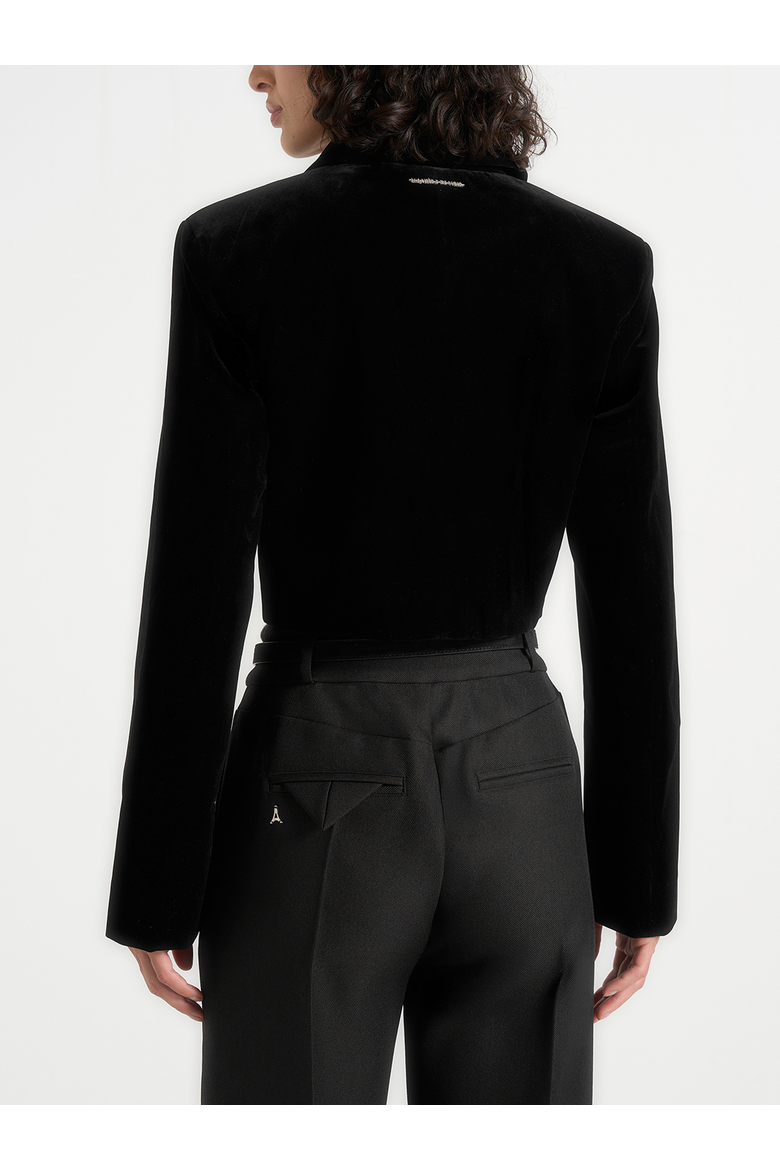 Adina Velvet Cropped Jacket, Alternate, color, Black