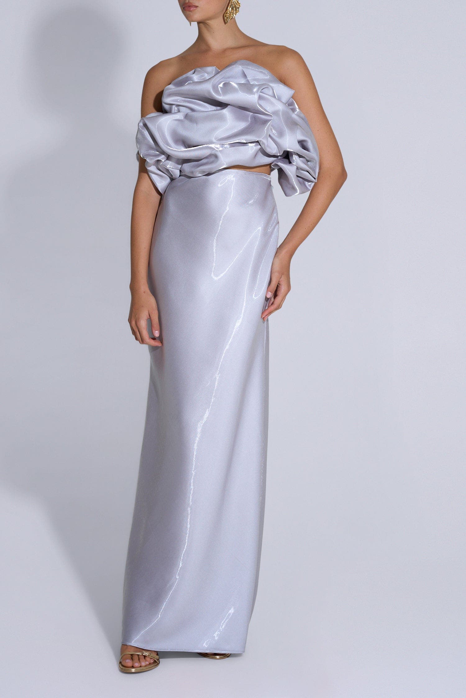 selected Silver Gloss