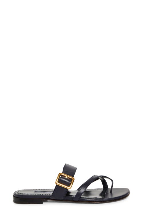 Manolo Blahnik Thalusa Flat Sandal In Navy