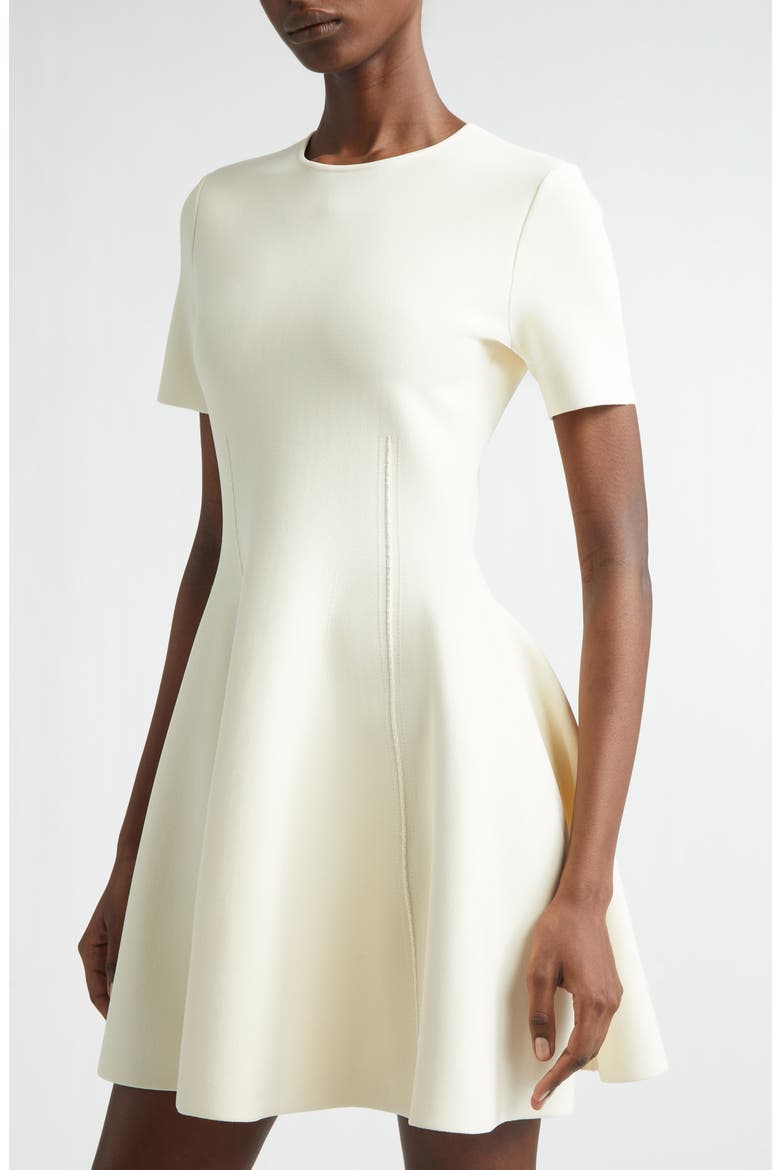 Fit & Flare Minidress, Alternate, color, WHITE