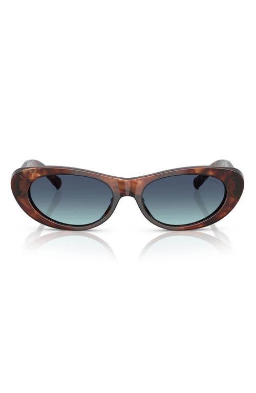Tiffany & Co . 55mm Oval Sunglasses In Brown