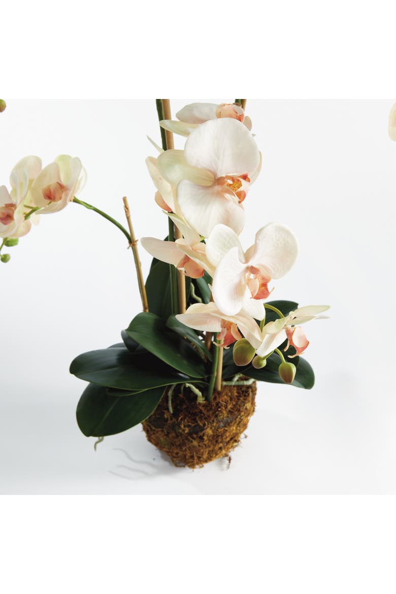 Phalaenopsis Orchid Artificial Plant Drop-In, Alternate, color, Pink