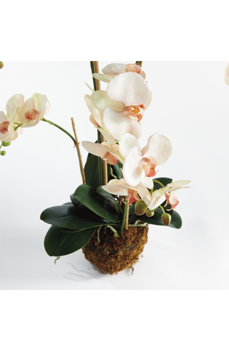 Napa Home & Garden Phalaenopsis Orchid Artificial Plant Drop-In, Alternate, color, Pink
