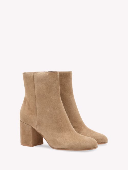 Gianvito Rossi Joelle Booties In Brown