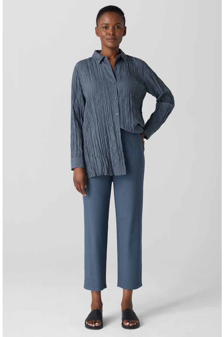 Straight Leg Ankle Pants, Alternate, color, ECLPS