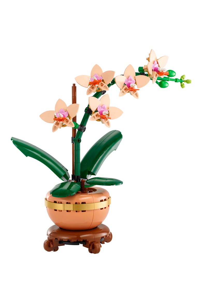 18+ Botanicals™ Mini Orchid - 10343, Alternate, color, MULTI