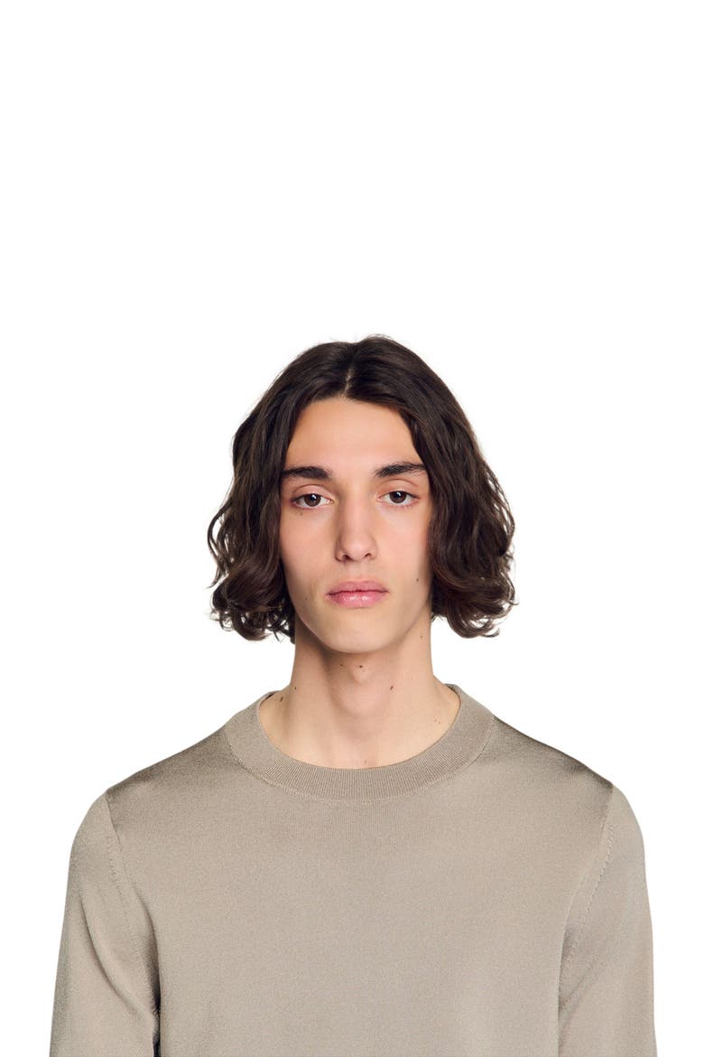 Fine knit sweater, Alternate, color, Light taupe