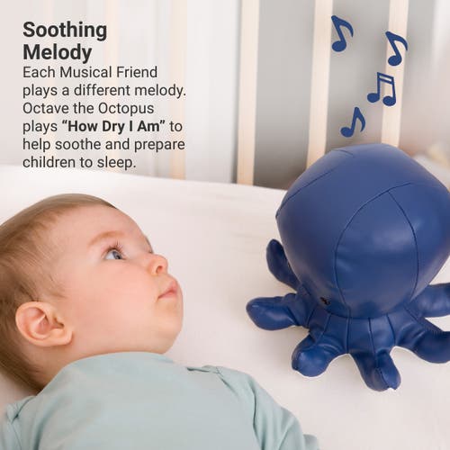 Little Big Friends Musical Animals In Blue