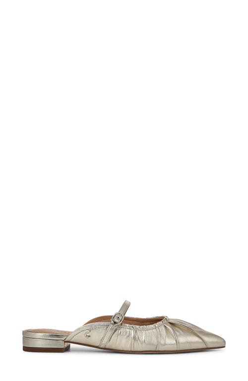 Circus Ny By Sam Edelman Larissah Pointed Toe Mule